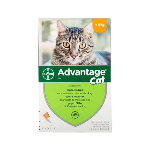 Advantage Katze 5 Advantage Katze – Bild 3