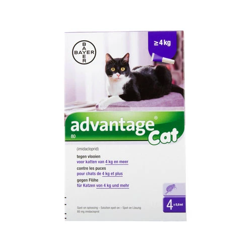Advantage Katze 6 Advantage Katze – Bild 4