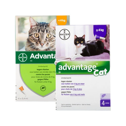 Advantage Katze 4 Advantage Katze – Bild 2