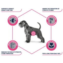 Affinity Advance Veterinary Diets Urinary Hund -Haustierprodukte affinity advance veterinary diets urinary hond 177715 0500 none