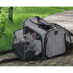 AFP Travel Dog - Hundetransportbox Mit Rollen 9 AFP Travel Dog - Hundetransportbox Mit Rollen -Haustierprodukte afp travel dog rolling pet carrier 213521 0500 none