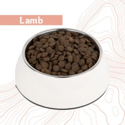 Antelope Fresh Adult Hundefutter -Haustierprodukte antelope fresh adult hondenvoer 219964 0500 none