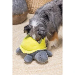 Beeztees Hide And Seek Schildo 9 Beeztees Hide And Seek Schildo -Haustierprodukte beeztees hide and seek schildo 221788 0500 none