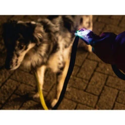 Beeztees Safety Gear Parinca Premium Hundeleine 14 Beeztees Safety Gear Parinca Premium Hundeleine -Haustierprodukte beeztees safety gear parinca premium hondenriem 215036 0500 none