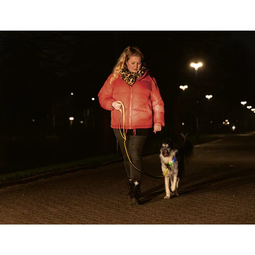 Beeztees Safety Gear Parinca Premium Hundeleine 10 Beeztees Safety Gear Parinca Premium Hundeleine – Bild 8