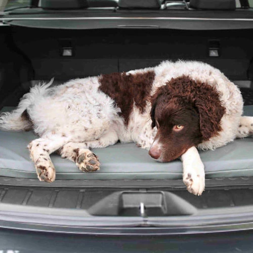 Bia Original Matratze Schwarz 4 Bia Original Matratze Schwarz – Bild 2