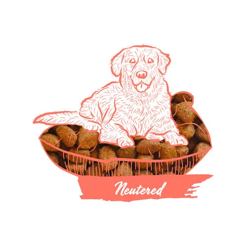 Calibra Dog Expert Nutrition Neutered 4 Calibra Dog Expert Nutrition Neutered – Bild 2