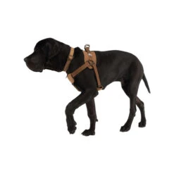 Carhartt Work Dog Harness 9 Carhartt Work Dog Harness -Haustierprodukte carhartt work dog harness 186805 0500 none