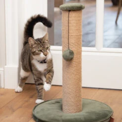 Designed By Lotte Kratzbaum Yenna 14 Designed By Lotte Kratzbaum Yenna -Haustierprodukte designed by lotte krabpaal yenna 164437 0500 none