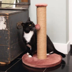 Designed By Lotte Kratzbaum Yenna 15 Designed By Lotte Kratzbaum Yenna -Haustierprodukte designed by lotte krabpaal yenna 164443 0500 none