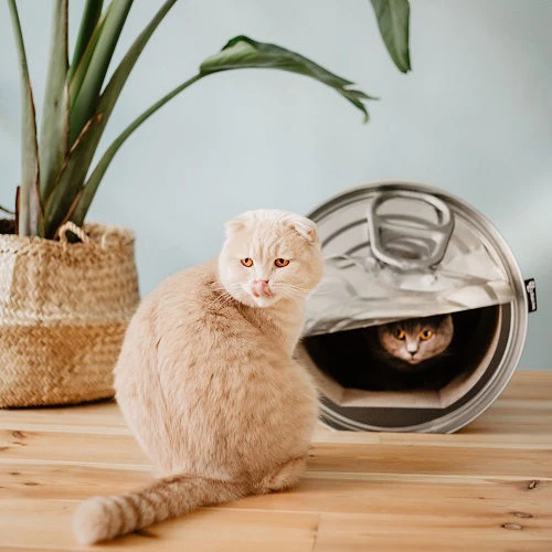 District 70 Can 4 District 70 Can – Bild 2