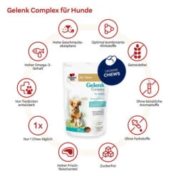 Doppelherz Gelenk Complex Für Hunde 12 Doppelherz Gelenk Complex Für Hunde -Haustierprodukte doppelherz gelenk complex fuer hunde 194933 0500 none