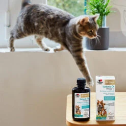 Doppelherz Gelenk Öl Omega-3 Für Katzen Und Hunde 18 Doppelherz Gelenk Öl Omega-3 Für Katzen Und Hunde -Haustierprodukte doppelherz gelenk oel fuer katzen hunde 195062 0500 none
