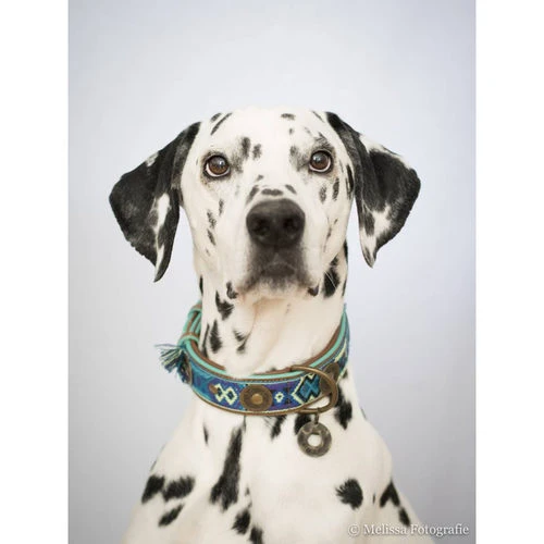 DWAM Halsband Boho Juan 5 DWAM Halsband Boho Juan – Bild 3