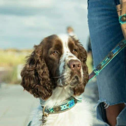 DWAM Halsband Boho Juan 9 DWAM Halsband Boho Juan -Haustierprodukte dwam halsband boho juan 133658 0500 none