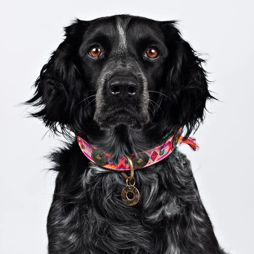 DWAM Halsband Boho Rosa 4 DWAM Halsband Boho Rosa – Bild 2