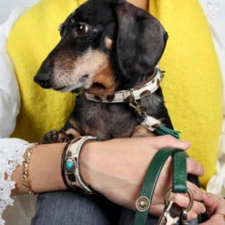 DWAM Halsband Ivy 14 DWAM Halsband Ivy -Haustierprodukte dwam halsband ivy 180688 0500 none