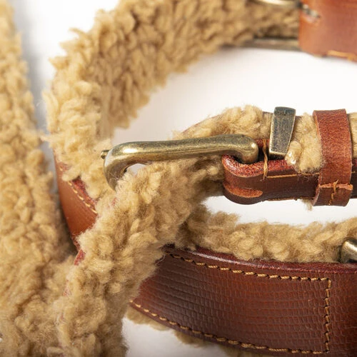 DWAM Halsband Teddy 4 DWAM Halsband Teddy – Bild 2