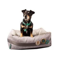 DWAM Jungle Love Korb -Haustierprodukte dwam jungle love mand 186595 0500 none