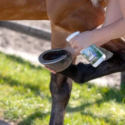 Equi Protecta Huf-Spray -Haustierprodukte equi protecta hoevenspray 161273 0500 none