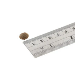 Fish4Dogs Finest Adult Complete - Sardine Kleine Brocken 5 Fish4Dogs Finest Adult Complete - Sardine Kleine Brocken -Haustierprodukte fish4dogs finest adult complete sardine kleine brok 160934 0500 none