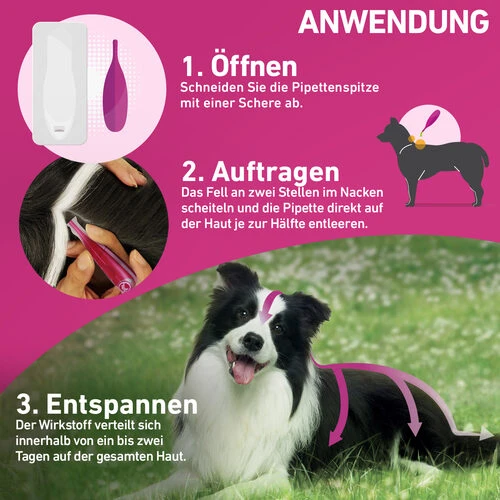 Frontline Tri-Act Gegen Zecken, Flöhe Und Fliegende Insekten Für Hunde 19 Frontline Tri-Act Gegen Zecken, Flöhe Und Fliegende Insekten Für Hunde – Bild 17