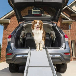 Happy Ride Telescoping Pet Ramp Deluxe 7 Happy Ride Telescoping Pet Ramp Deluxe -Haustierprodukte happy ride telescoping pet ramp deluxe 162499 0500 none