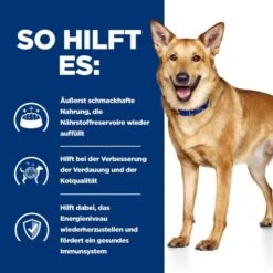 Hill's I/d Digestive Care Ragout - Prescription Diet - Canine -Haustierprodukte hills id digestive care stoofpotje prescription diet canine 212054 0500 none