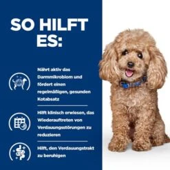 Hill's Prescription Diet Gastrointestinal Biome - Canine - Mini 12 Hill's Prescription Diet Gastrointestinal Biome - Canine - Mini -Haustierprodukte hills prescription diet gastrointestinal biome canine mini 211877 0500 none