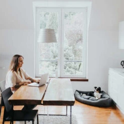 Hunter Eckkorb Livingstone - Grau 15 Hunter Eckkorb Livingstone - Grau -Haustierprodukte hunter hoekmand livingstone grijs 175903 0500 none