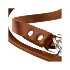 Hunter Trainingsleine - Braun 9 Hunter Trainingsleine - Braun -Haustierprodukte hunter trainingsriem bruin 175345 0500 none