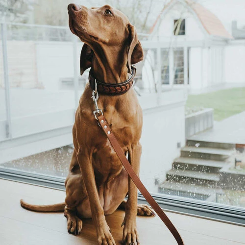 Hunter Trainingsleine - Braun 4 Hunter Trainingsleine - Braun – Bild 2