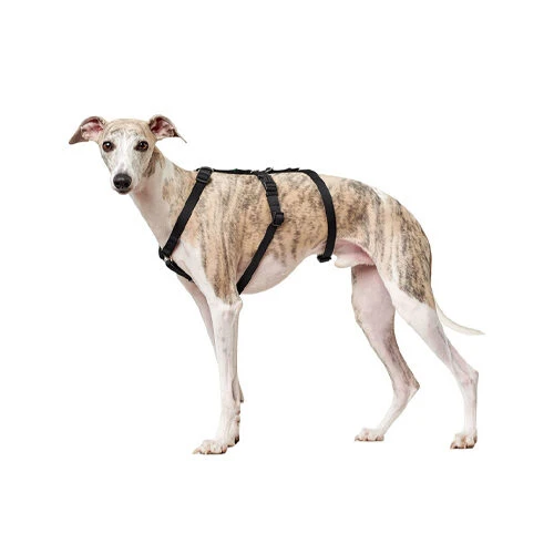 Hunter Vario Rapid Sicherheitsgeschirr - Schwarz 5 Hunter Vario Rapid Sicherheitsgeschirr - Schwarz – Bild 3