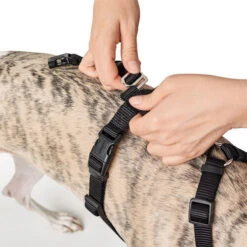 Hunter Vario Rapid Sicherheitsgeschirr - Schwarz 13 Hunter Vario Rapid Sicherheitsgeschirr - Schwarz -Haustierprodukte hunter vario rapid veiligheidsharnas zwart 169504 0500 none