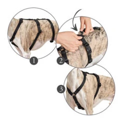 Hunter Vario Rapid Sicherheitsgeschirr - Schwarz 14 Hunter Vario Rapid Sicherheitsgeschirr - Schwarz -Haustierprodukte hunter vario rapid veiligheidsharnas zwart 169510 0500 none