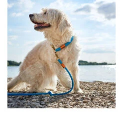 Hunter Verstellbare Führleine Oss 13 Hunter Verstellbare Führleine Oss -Haustierprodukte hunter verstelbare riem oss 116580 0500 none