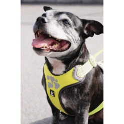 Hurtta Weekend Warrior Geschirr 30 Hurtta Weekend Warrior Geschirr -Haustierprodukte hurtta weekend warrior harness 189093 0500 none