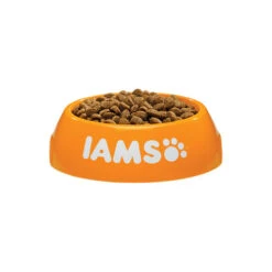 IAMS For Vitality Dog Puppy & Junior - Small & Medium 6 IAMS For Vitality Dog Puppy & Junior - Small & Medium -Haustierprodukte iams dog puppy junior small medium 133682 0500 none