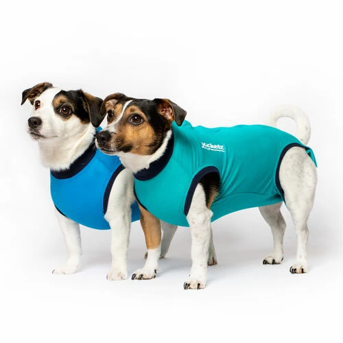Jacketz Medical Body Suit Für Hunde 5 Jacketz Medical Body Suit Für Hunde – Bild 4