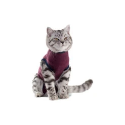 Jacketz Medical Body Suit Für Katzen 10 Jacketz Medical Body Suit Für Katzen -Haustierprodukte jacketz medical body suit kat 154129 0500 none
