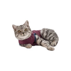 Jacketz Medical Body Suit Für Katzen 11 Jacketz Medical Body Suit Für Katzen -Haustierprodukte jacketz medical body suit kat 154147 0500 none