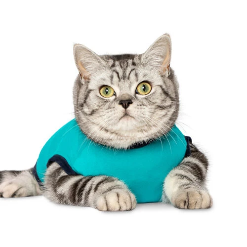 Jacketz Medical Body Suit Für Katzen 8 Jacketz Medical Body Suit Für Katzen – Bild 6