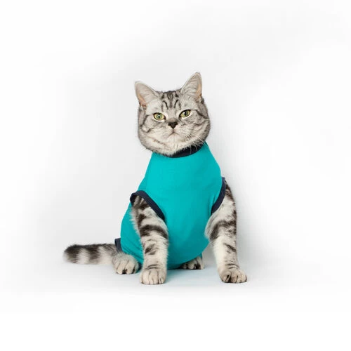 Jacketz Medical Body Suit Für Katzen 7 Jacketz Medical Body Suit Für Katzen – Bild 5
