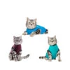 Jacketz Medical Body Suit Für Katzen 1 Jacketz Medical Body Suit Für Katzen -Haustierprodukte jacketz medical body suit kat 209795 0500 none
