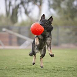 Jolly Soccer Ball 10 Jolly Soccer Ball -Haustierprodukte jolly soccer ball 162241 0500 none