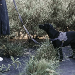 Kentucky Dogwear Hundegeschirr Body Safe Wool 16 Kentucky Dogwear Hundegeschirr Body Safe Wool -Haustierprodukte kentucky dogwear hondenharnas body safe wool 219214 0500 none