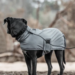 Kentucky Dogwear Soft Rubber Hundehalsband 11 Kentucky Dogwear Soft Rubber Hundehalsband -Haustierprodukte kentucky dogwear soft rubber hondenhalsband 219265 0500 none