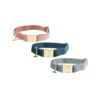 Kentucky Dogwear Velvet Hundehalsband 2 Kentucky Dogwear Velvet Hundehalsband -Haustierprodukte kentucky dogwear velvet hondenhalsband 219233 0500 none
