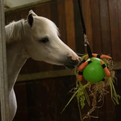 Maximus Fun Play Ball Für Pferde -Haustierprodukte maximus fun play ball voor paarden 207830 0500 none