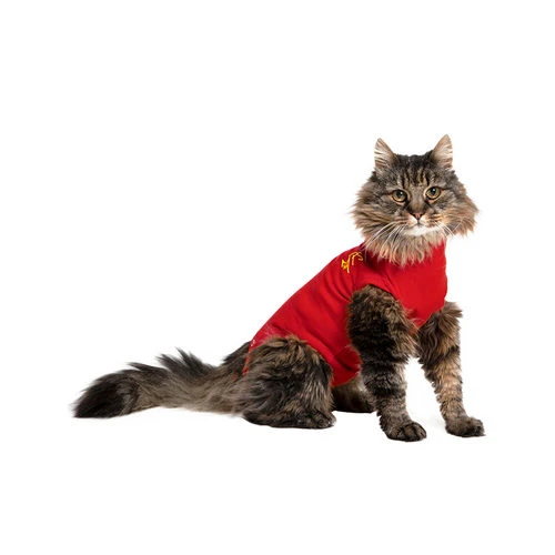 Medical Pet Shirt Katze 3 Medical Pet Shirt Katze